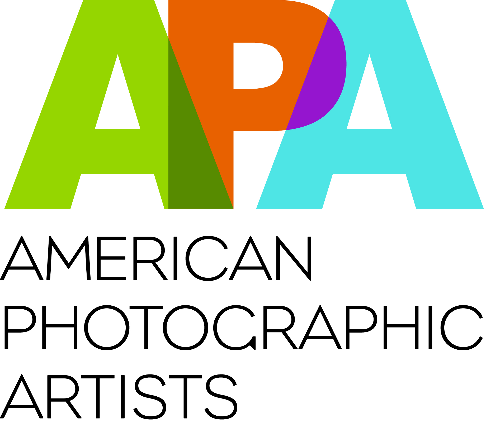 APA_Logo_jg-052410.jpg